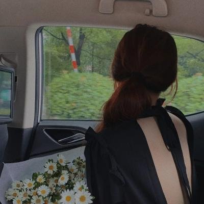 奔跑的蔷薇