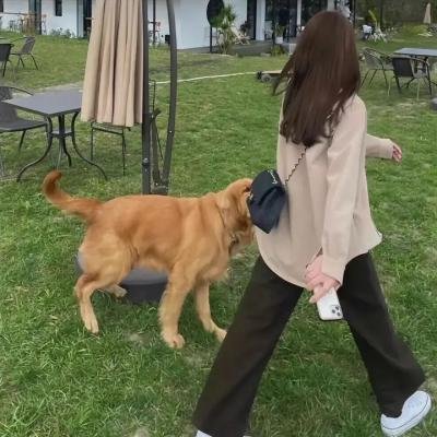千万别眨眼